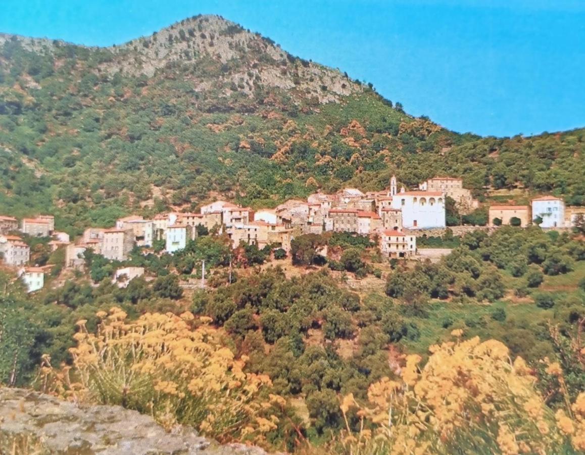 A Stalla Maison De Vacances 6 Personnes Muro  المظهر الخارجي الصورة